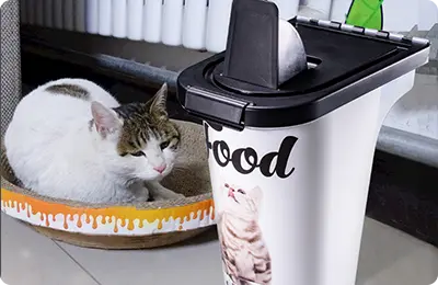 Пластиковый литьевой контейнер для домашних животных